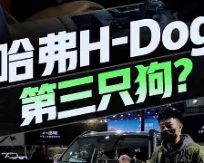 用户84bd635d-kaiyun 官网