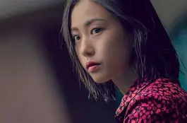 よぅに后面的接续-开云娱乐平台